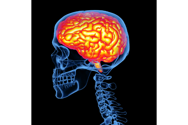 neurologia-adulto